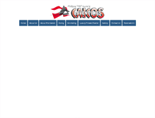 Tablet Screenshot of caicosadventures.com